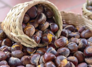 Điểm danh 6 món đặc sản hấp dẫn nên thử khi đi du lịch Cao Bằng Điểm danh 6 món đặc sản hấp dẫn nên thử khi đi du lịch Cao Bằng