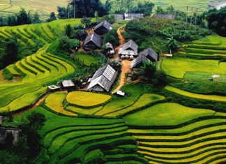 Bản Tả Van địa điểm du lịch Sapa nhiều trải nghiệm thú vị nhất Bản Tả Van địa điểm du lịch Sapa nhiều trải nghiệm thú vị nhất